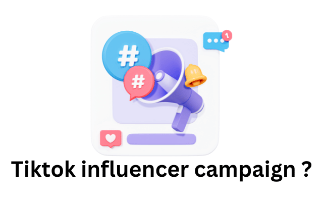 Tiktok influencer campaign